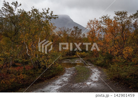 Muddy off-road dirt track with puddles in autumn mountain valley Muddy off-road dirt track with puddles in autumn mountain valley 142901459