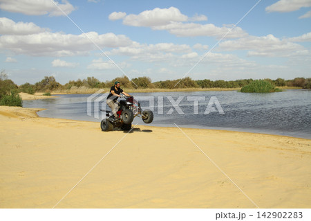 Young quad bike rider doing wheelie in desert 142902283