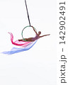 Young aerialist extending from hoop with pastel fabric 142902491