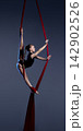 Teen aerialist climbing red silks on dark blue background 142902526