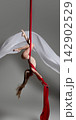 Young aerial gymnast arching upside down on silks 142902529