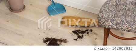 A person gets a haircut at home, leaving hair clippings on the floor. A broom and dustpan sit nearby next to a chair and a plant in a pot, banner 142902933