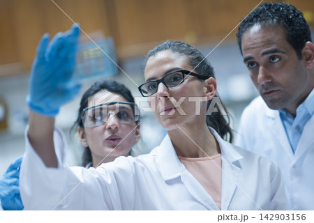 Middle Eastern medical team examining a blood test sample in a clinical laboratory with focused collaboration 142903156