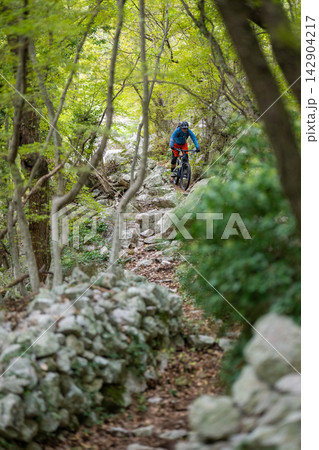 Mountain biking cyclist rides a rocky forest trail under green trees on an off road adventure Mountain biking cyclist rides a rocky forest trail under green trees on an off road adventure 142904217
