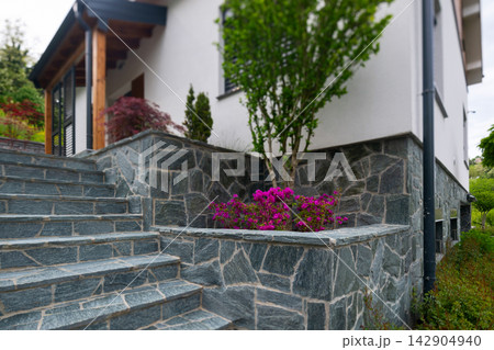 Stone steps and planter with pink azalea beside modern house with slate wall and greenery Stone steps and planter with pink azalea beside modern house with slate wall and greenery 142904940