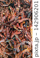 Close up background of many dried red chili peppers used as a hot spice ingredient 142906201