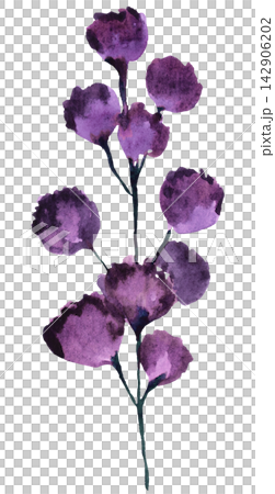 Watercolor purple wildflower, spring floral isolated illustration for stationery and greeting cards Watercolor purple wildflower, spring floral isolated illustration for stationery and greeting cards 142906202