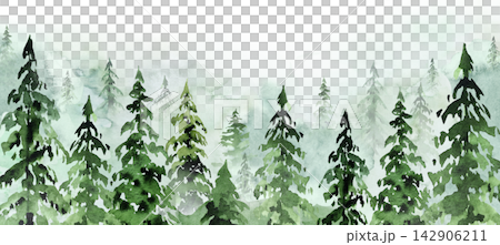 Hand drawn watercolor green spruce or pine tree misty forest, winter isolated illustration, copy space Hand drawn watercolor green spruce or pine tree misty forest, winter isolated illustration, copy space 142906211