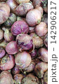 Top down view of a pile of raw fresh red onions with papery skin 142906217