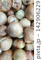 Top view close-up of a pile of raw yellow onions with papery skins 142906229
