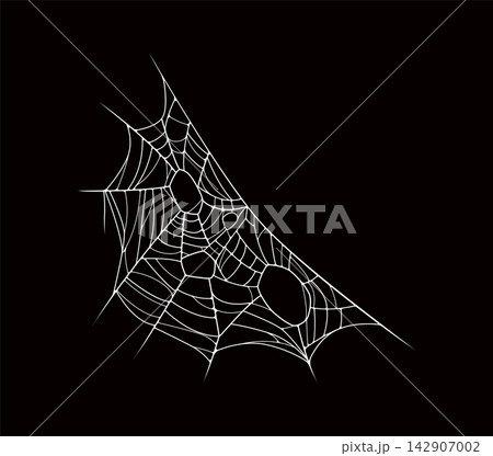 Halloween cobweb, spider web corner and texture. Isolated spiderweb featuring triangular corner design with intricate white threads on dark background. Vector cobweb for spooky holiday decorations Halloween cobweb, spider web corner and texture. Isolated spiderweb featuring triangular corner design with intricate white threads on dark background. Vector cobweb for spooky holiday decorations 142907002