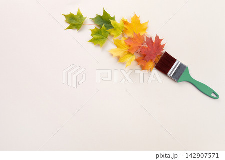 Paintbrush creating autumn maple leaves seasonal transition Paintbrush creating autumn maple leaves seasonal transition 142907571