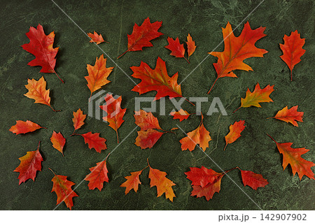 Hello Autumn greeting card. Abstract autumn composition with maple leaves on a marble effect concrete background, still life and Thanksgiving theme, beautiful sunny banner and design template Hello Autumn greeting card. Abstract autumn composition with maple leaves on a marble effect concrete background, still life and Thanksgiving theme, beautiful sunny banner and design template 142907902