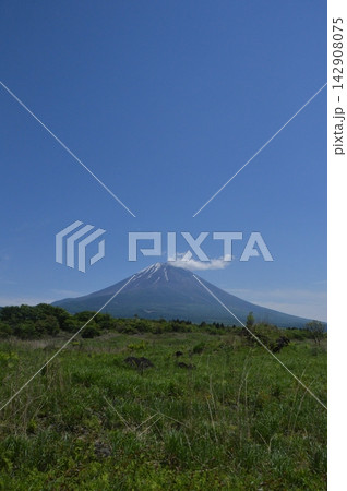 富士山(朝霧高原/静岡県富士宮市) 富士山(朝霧高原/静岡県富士宮市) 142908075