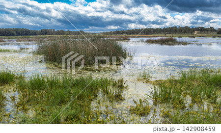 Lagunas de Cantalejo Special Protection Area, Spain Lagunas de Cantalejo Special Protection Area, Spain 142908459