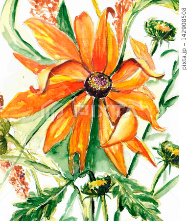 Sun flower Sun flower 142908508