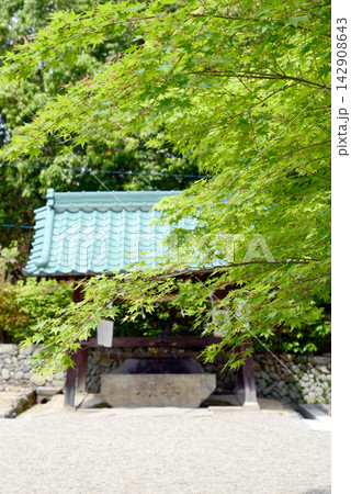 奈良の龍田大社 奈良の龍田大社 142908643