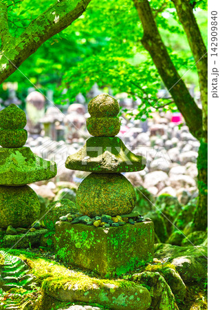 夏の京都　あだし野念仏寺 142909840