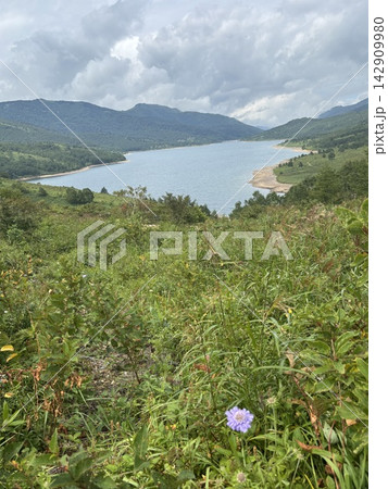 雲が広がる野反湖と緑豊かな高原の自然風景 雲が広がる野反湖と緑豊かな高原の自然風景 142909980