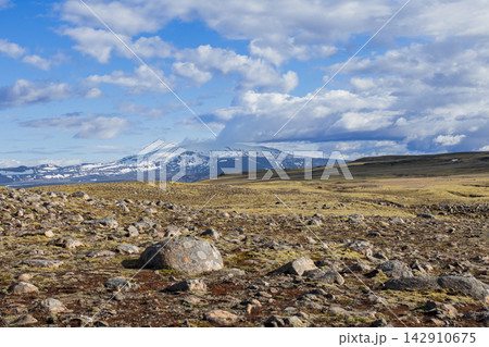 Iceland rocky landscape with foreground boulders and a distant snowy mountain Iceland rocky landscape with foreground boulders and a distant snowy mountain 142910675