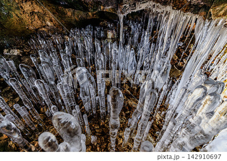 厳寒の地が生み出す芸術 百畳敷洞窟の力強く立ち並ぶ巨大氷筍群 厳寒の地が生み出す芸術 百畳敷洞窟の力強く立ち並ぶ巨大氷筍群 142910697