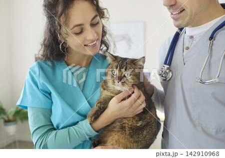 Veterinarian and nurse holding cat during checkup in bright modern animal clinic Veterinarian and nurse holding cat during checkup in bright modern animal clinic 142910968
