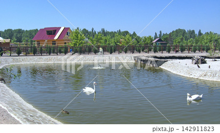 Wooden ark building by a pond with ducks in countryside park. Zoo in Zaporizhia Wooden ark building by a pond with ducks in countryside park. Zoo in Zaporizhia 142911823