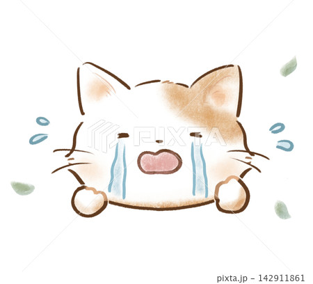 涙を流して号泣する猫のふんわり手描きイラスト 142911861