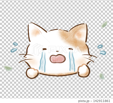 涙を流して号泣する猫のふんわり手描きイラスト 142911861