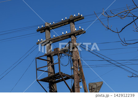 A double wooden utility pole with white insulators stands against a vibrant blue sky, highlighting infrastructure designed for electrical power distribution in an industrial area A double wooden utility pole with white insulators stands against a vibrant blue sky, highlighting infrastructure designed for electrical power distribution in an industrial area 142912239