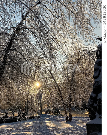 Sunlight filters through trees covered in thick ice after a freezing winter storm, creating a shimmering landscape with glowing light and deep shadows in a quiet snowy city park setting 142912330