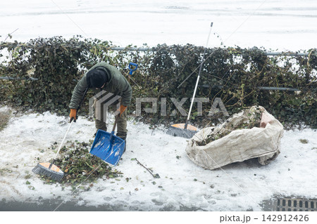 A worker clears fallen leaves from a snowy sidewalk using a blue shovel and rake, embodying seasonal groundskeeping tasks to maintain clean outdoor public spaces during winter weather A worker clears fallen leaves from a snowy sidewalk using a blue shovel and rake, embodying seasonal groundskeeping tasks to maintain clean outdoor public spaces during winter weather 142912426