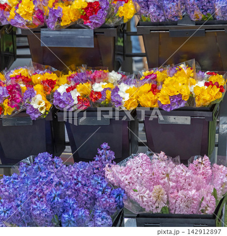 Holland Flowers Hydrangea Tulips Holland Flowers Hydrangea Tulips 142912897