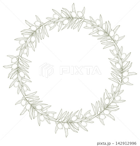 Wreath of hand drawn olive branches and fruits, Mediterranean botanical circle frame in sketch style. Isolated Vector illustration Menu, label, packaging design, invites , branding or print materials Wreath of hand drawn olive branches and fruits, Mediterranean botanical circle frame in sketch style. Isolated Vector illustration Menu, label, packaging design, invites , branding or print materials 142912996
