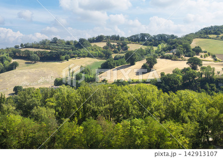 hills of the Marche Apennines hills of the Marche Apennines 142913107