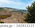 Panoramic view of the red roofs of Urbino, Italy 142913115