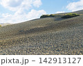 Panoramic view of the typical landscape of the Marche region, Italy. 142913127