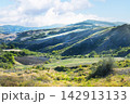 Panoramic view of the typical landscape of the Marche region, Italy. 142913133