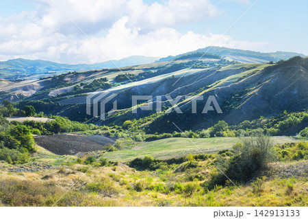 Panoramic view of the typical landscape of the Marche region, Italy. 142913133