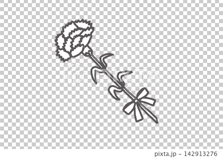 White and gray line drawing illustration of a single carnation, Mother's Day. 142913276