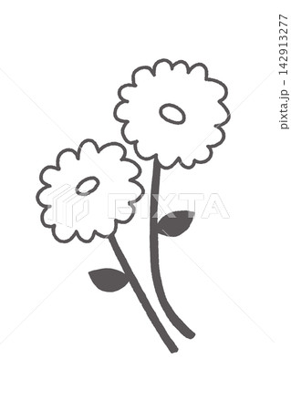 白グレーでかわいい2輪のお花のシンプルな挿し絵 白グレーでかわいい2輪のお花のシンプルな挿し絵 142913277