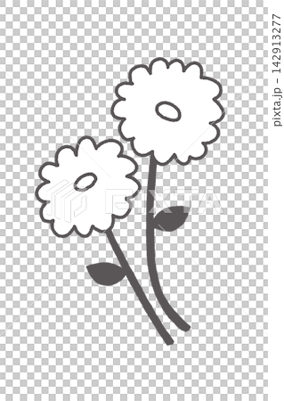 白グレーでかわいい2輪のお花のシンプルな挿し絵 白グレーでかわいい2輪のお花のシンプルな挿し絵 142913277