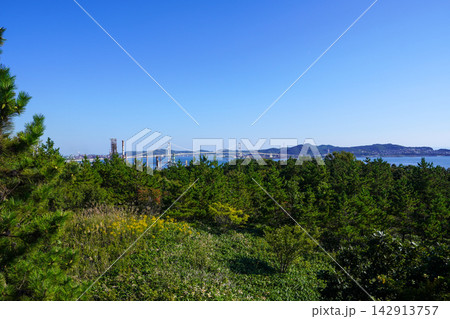 白鳥湾展望台から見る白鳥大橋・室蘭市 白鳥湾展望台から見る白鳥大橋・室蘭市 142913757