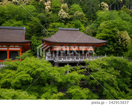 京都 京都 142913837