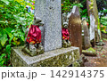 Stone Inari Fox at Osugi-jinja Shrine in Ibaraki, Japan Stone Inari Fox at Osugi-jinja Shrine in Ibaraki, Japan 142914375