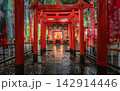 Rain-Soaked Inari Torii Gates at Osugi Shrine Ibaraki, Japan Rain-Soaked Inari Torii Gates at Osugi Shrine Ibaraki, Japan 142914446