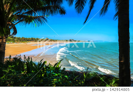 Panorama of Amazing beach in southern India - Goa (or Kerala or Karnataka) 142914805