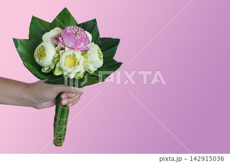 The left hand holds a decorative lotus one pink and five white and yellow lotus flowers bouquet on pandan leaves on pink color background, religion, nature, buddha, ancient, copy space The left hand holds a decorative lotus one pink and five white and yellow lotus flowers bouquet on pandan leaves on pink color background, religion, nature, buddha, ancient, copy space 142915036