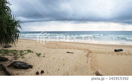 tropical beach with palm trees tropical beach with palm trees 142915392