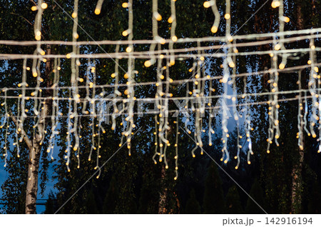 Warm glowing fairy lights garland hanging outdoors in evening garden. 142916194